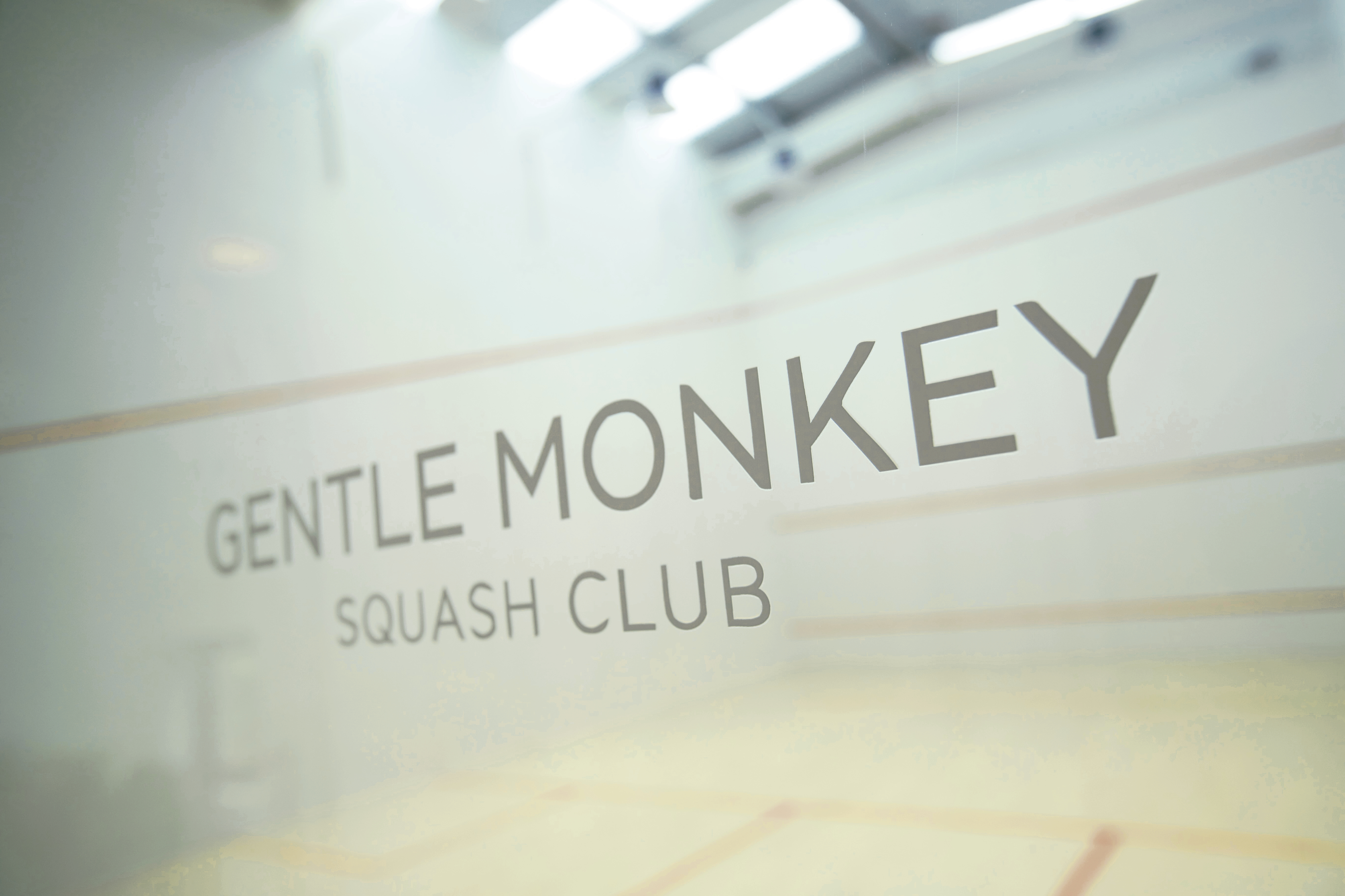 Sunlight Squash Court